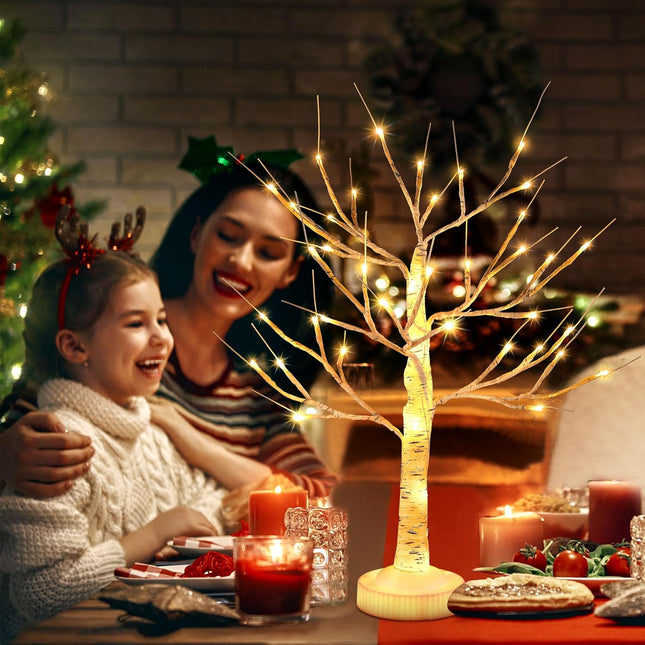 Enhon 2 Pcs 2ft Lighted Birch Tree Decor with Timer, USB, Battery Powered Artificial Branch Tree with 8 Modes, Remote Control, Tabletop Tree Light for Christmas Decor Indoor(Classic Style)