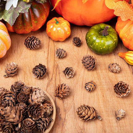 250Pcs Christmas Mini Pine Cones, Small Natural Pine Cones for Christmas Wreath Craft, Tiny Pinecones for Decor Vase Fillers, Thanksgiving, Home Decor