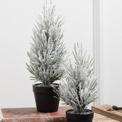 Sullivans Flocked Christmas Pine Tree Set of 2, Christmas Decor, Mini Christmas Trees, Christmas Decorations Indoor Home Decor, Flocked Trees, Artificial Christmas Trees, Tabletop Christmas Decor