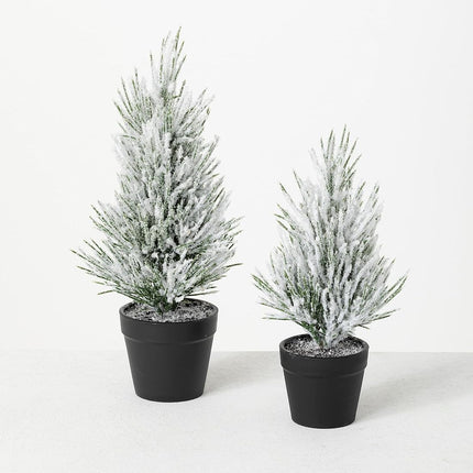Sullivans Flocked Christmas Pine Tree Set of 2, Christmas Decor, Mini Christmas Trees, Christmas Decorations Indoor Home Decor, Flocked Trees, Artificial Christmas Trees, Tabletop Christmas Decor