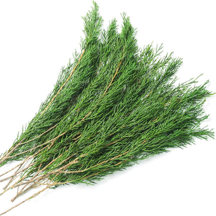Preserved Real Pine Leaves Branches, 17'' Natural Pine Needles Green Plants, 3.5OZ Greenery Pine Twigs Stems, Evergreen Pine Picks for Christmas Garland Wreath Home Wedding Decor Floral Arrangements