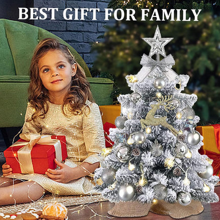 Mini Christmas Tree with Lights, 2ft Mini Christmas Tree with Decorations 24In Artificial Small Christmas Tree Pre-lit Snow Flocked Christmas Tree - for Table Desk Home Christmas Decoration