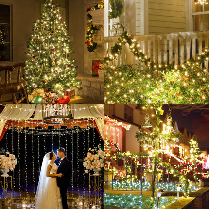 Clear Christmas Lights 66FT 200 Incandescent Bulbs Warm White Mini Lights with Black Wire for Christmas Tree, Garland, Thanksgiving, Wedding, Party, Home, Indoor & Outdoor Festival Decoration
