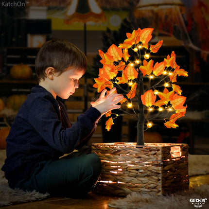 KatchOn, Artificial Maple Tree with Lights - 24 Inch 24 LED Lighted Fall Tree Light Up Maple Leaf Tree for Fall Decorations for Home, Office Autumn Trees With Lights for Thanksgiving Decorations