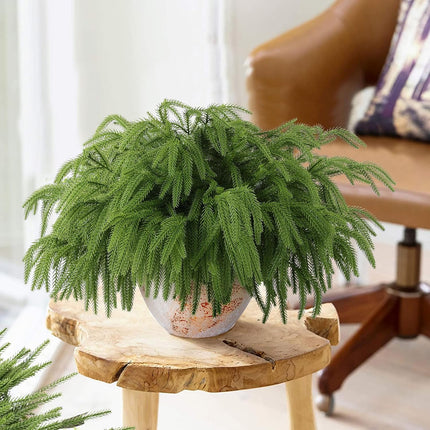 12 Pcs Christmas Norfolk Pine Branches, Norfolk Pine Artificial Christmas Stems DIY Crafts Faux Christmas Greenary Norfolk Pine Branches for Xmas Wreath Garland Home Decor (12)