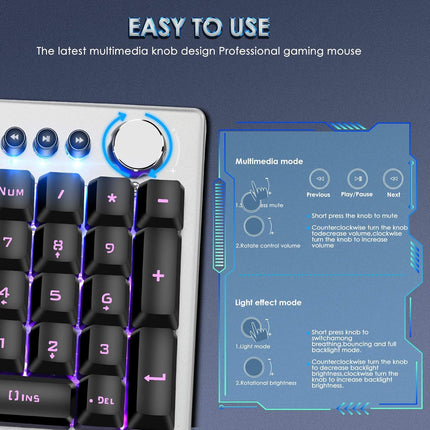 Beastron RGB Backlit Gaming Keyboard with Mouse Combo and Mouse pad, Multimedia Keyboard Knob,Mechanical Feel USB Wired Keyboard for Windows PC