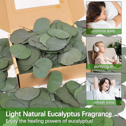 Real Eucalyptus Leaves for Shower: 500PCS Green Dried Eucalyptus Leaves Bulk for Wedding Home Party Bridal Showers Baby Shower DIY Garland Cake Table Center Christmas Decorations