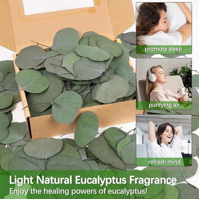 Real Eucalyptus Leaves for Shower: 500PCS Green Dried Eucalyptus Leaves Bulk for Wedding Home Party Bridal Showers Baby Shower DIY Garland Cake Table Center Christmas Decorations