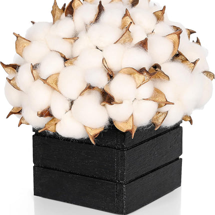 CVHOMEDECO. Cotton Pod with Wooden Vase Real Cotton Pods and Autumn Leaves in Black Wood Box for Home Decor. Idea for Wife, Him or Her, Valentines Day Mother's Day Birthday Warm s.