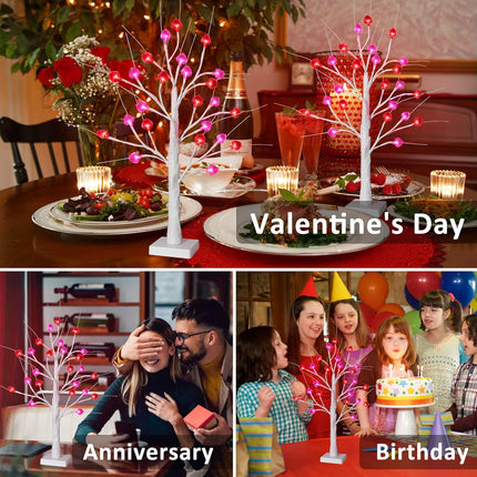 2FT Valentine's Day Tree Decor - 24LT FastDeng Prelit Birch Tree with 12 Pink & 12 Red Heart, Unique Red and Pink LED Lights, Battery Operated, Timing Function, Decorations for The Home, Mother's Day