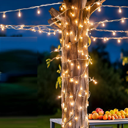 LUCKY SHINE 200 Clear Warm Christmas Lights, 2 Sets100 Light with White Wire 66 Foot, UL and Commercial Grade, for Indoor and Outdoor Party, Patio, Trees, Garden.