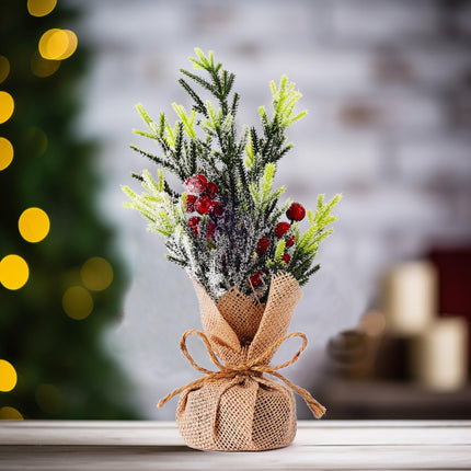 Lighted Tabletop Christmas Tree with Star Topper and Mini Christmas Table Tree