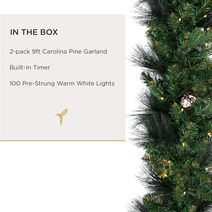 Papyrus 2 Pack of 9 ft Pre-Lit Frosted Carolina Pine Garland, Artificial, Pine Cones, Warm White Light, Battery Powered, Indoor/Outdoor