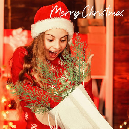Sinmoe 60 Pcs Christmas Picks Artificial Pine Branches 13.7 Inch Faux Plants Cedar Sprig Pine Winter Leaves Christmas Snowy Greenery Branches for DIY Garland Home Garden Vase Decoration (Normal Style)