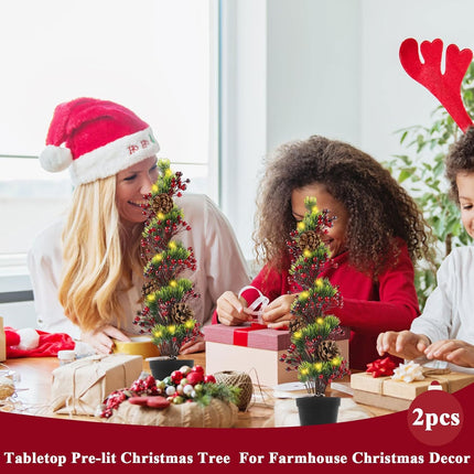 HiiARug 2 Packs Pre-lit Artificial Mini Christmas Tree, 21" Pre-lit Christmas Tree Tabletop Trees with Pine Cones, Red Berries, Pot Faux Christmas Tree for Front Porch Indoor Outdoor Christmas Decor
