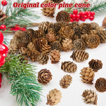 100 Pack Pine Cones, Mini Natural Pine Cones for Christmas Tree, 1.18 in Pine Cones for Crafts, Mini Pinecone Ornaments, Christmas Wreath Craft, Winter Decorations for Home Fall Decor Vase Filler