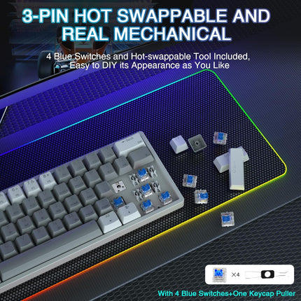 AULA 60 Percent Wired Mechanical Gaming Keyboard, 29 RGB Backlit Custom Hot Swappable Keyboard, Blue Switch 60% Mini Small Compact Keyboard for PC/Mac/Laptop/Wins —— (Wired Version)