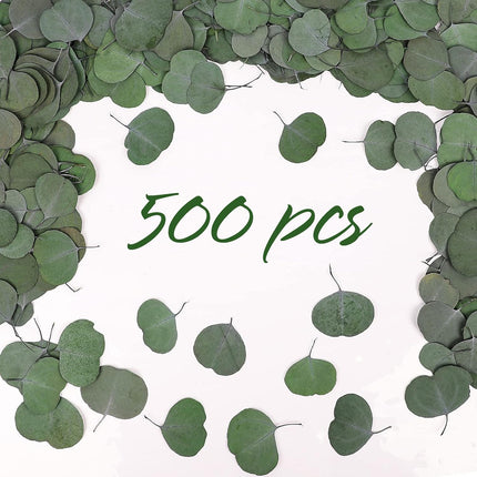 Real Eucalyptus Leaves for Shower: 500PCS Green Dried Eucalyptus Leaves Bulk for Wedding Home Party Bridal Showers Baby Shower DIY Garland Cake Table Center Christmas Decorations