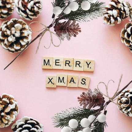 10PCS Artificial Christmas Picks White Berry Stems Faux Frosted Pine Branches Holly Spray with Bow-knot Pinecones for Xmas Tree Flower Arrangement Wreath Winter Holiday Season Décor (White, 10)