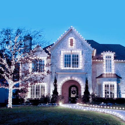 C9 LED Christmas Lights Outdoor, 66 Feet 100 LED Strawberry String Lights with 100 Spring Clamps, Waterproof Commercial Grade Extendable for Outside Roofline Patio Home Xmas Decoration, Pure White