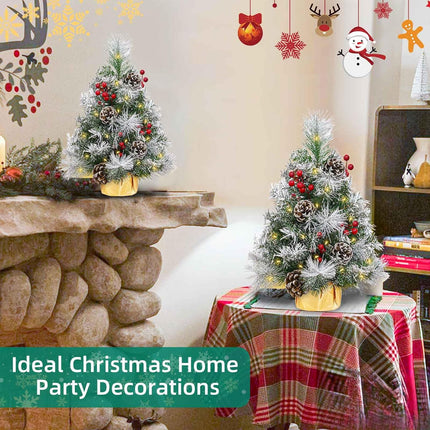 TURNMEON 2 Pack 24 Inch /2FT Tabletop Small Christmas Tree with Timer 30 Warm White Lights Battery Operated Snowy Pine Cones Red Berried, Mini Xmas Trees for Christmas Decorations Indoor Home Decor