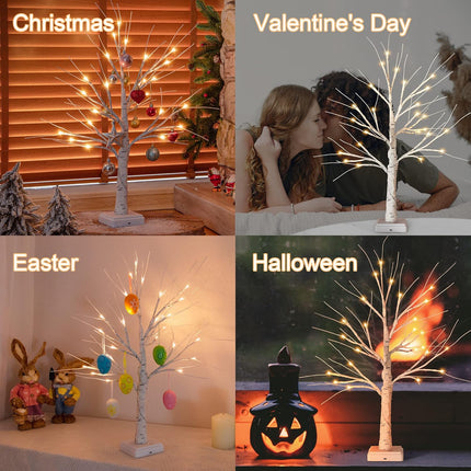 Woohaha 2FT Lighted Birch Tree with 24L Warm White LEDs,Mothers Day Decoration,Battery Powered Timer Money Tree,Artificial Mini Christmas Tree Card Tree for Home Party Wedding