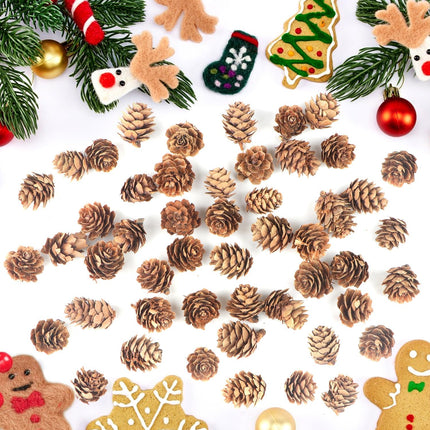 Jangostor 120 PCS Pine Cones Decorations, Natural Pine Cones Bulk - Mini Pine Cones Christmas Pine Cones for Table Christmas Tree Crafts s Thanksgiving Fall and Xmas Home Decor