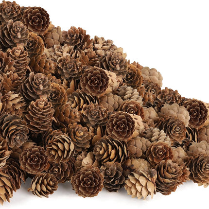 100 Pack Pine Cones, Mini Natural Pine Cones for Christmas Tree, 1.18 in Pine Cones for Crafts, Mini Pinecone Ornaments, Christmas Wreath Craft, Winter Decorations for Home Fall Decor Vase Filler