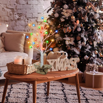 [ Timer ] Ruidazon 2 Pack Lighted Birch Tree, 26" Christmas Birch Tree with 24 Led Red Green Orange Blue Lights Battery Operated Small Christmas Table Tree for Home Christmas Indoor Decoration