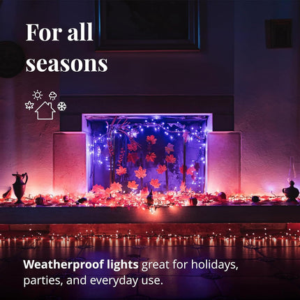 Twinkly Cluster 19.7ft RGB, Dense Strip of 400 LED Lights, in- and Outdoor Smart Multicolor LED Lights, Compatible Alexa and Google Home, Gaming Lights, IP44, App Mapping, Green Wire