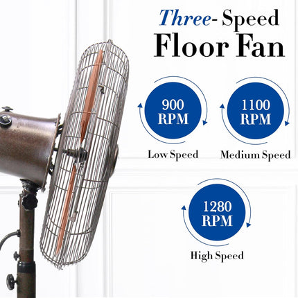 Decobreeze Pedestal Standing Fan, 3 Speed Oscillating Fan With Adjustable Height, Kipling, Antique Fan, 16 Inches