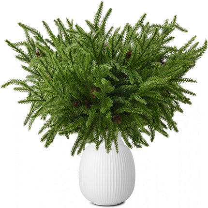 12 Pcs Christmas Norfolk Pine Branches, Artificial Christmas Pine Branches Norfolk Pine Stems, DIY Crafts Faux Christmas Greenery Stems, Real Touch, for Xmas Indoor Outdoor Home Decor.