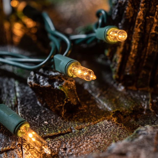 YULETIME 200 Clear Christmas Lights with Green Wire, Pack of 2 Strands of 21 ft 100 Count UL Incandescent Mini String Light (Clear - Green Wire)