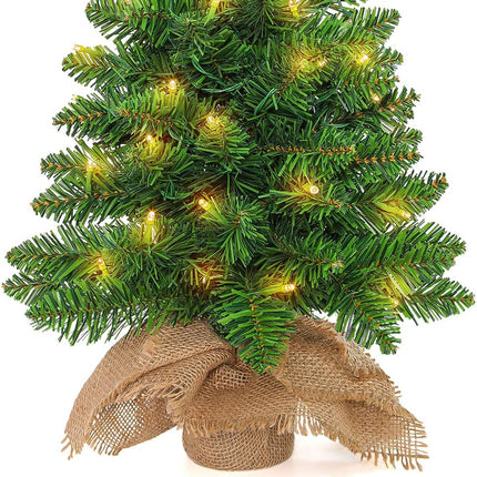 Small Christmas Tree with Lights - 2FT Pre Lit Artificial Mini Christmas Tree, Includes 50 Led Warm Lights, 73 PVC Branch Tips Thick and Full, Seasonal Indoor Home Tabletop Decor