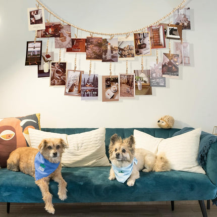 Hanging Photo Display, Wooden Bead Garland, Boho Style Collage Photo Frame Decoration for Dorms, Classrooms, Bedrooms, Hanging Display Card Holder
