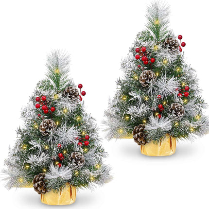 TURNMEON 2 Pack 24 Inch /2FT Tabletop Small Christmas Tree with Timer 30 Warm White Lights Battery Operated Snowy Pine Cones Red Berried, Mini Xmas Trees for Christmas Decorations Indoor Home Decor