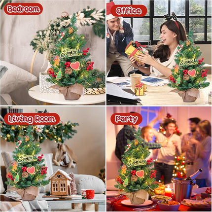 24" Mini Christmas Tree with LED Lights, Small Tabletop Christmas Tree for Indoor Christmas Decorations with Sign, Red Berries, Pine Cones, Hanging Cards,Ideal Christmas Decor for Home, Office & Party