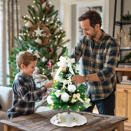 Small Christmas Tree with 1ights - 24" Mini Christmas Tree, Decorated Tabletop Christmas Tree with Tree Skirt, Mini White Christmas Treee with Ornaments, Small Christmas Tree with Decorations
