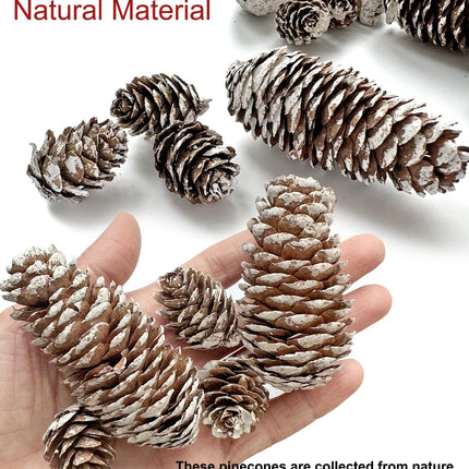 30PCS Christmas Pine Cones Decorations, Natural Snow Pinecones Bulk - 10pcs Large Pine Cones and 20pcs Mini Pine Cones for Xmas, Holiday, Winter Crafts, Table, Wreath,Bowl Decor,,Thansgiving,Party