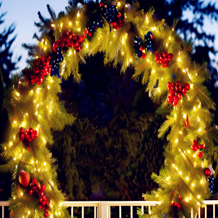 LUCKY SHINE 100 LED Warm White Christmas Lights, Commercial Grade Green Wire String Lights 35 Ft, for Indoor Outdoor House, Garden, Patio.