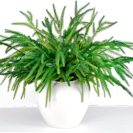 8Pcs Christmas Norfolk Pine Branches, 18 Inch Artificial Christmas Branches DIY Crafts Faux Christmas Norfolk Branches for Xmas Indoor Outdoor Home Decor