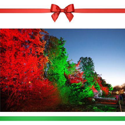 ALIDE Red Green MR16 GU5.3 Led Bulbs,Replace 20W 35W 50W Halogen,12V 5W Red Green MR16 for Christmas Holiday Decoration Outdoor Landscape Lighting,38 Deg,6 Pack Mix