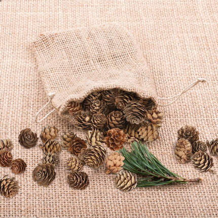 100 Pack Pine Cones, Mini Natural Pine Cones for Christmas Tree, 1.18 in Pine Cones for Crafts, Mini Pinecone Ornaments, Christmas Wreath Craft, Winter Decorations for Home Fall Decor Vase Filler