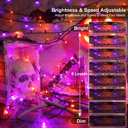 BrizLabs RGB Christmas Lights, 66FT 200 LED Color Changing String Lights, Rainbow Christmas Lights, Red White Dimmable Christmas Tree Lights with Remote for Xmas Halloween Home Indoor Outdoor Party