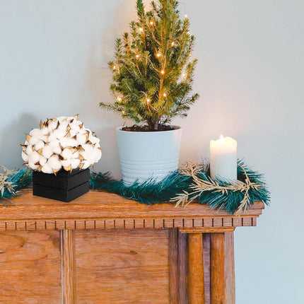 CVHOMEDECO. Cotton Pod with Wooden Vase Real Cotton Pods and Autumn Leaves in Black Wood Box for Home Decor. Idea for Wife, Him or Her, Valentines Day Mother's Day Birthday Warm s.