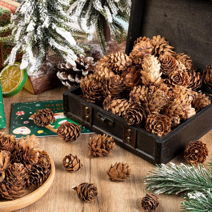 250Pcs Christmas Mini Pine Cones, Small Natural Pine Cones for Christmas Wreath Craft, Tiny Pinecones for Decor Vase Fillers, Thanksgiving, Home Decor