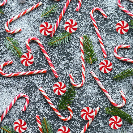 48Pcs Candy Canes Christmas Tree Decorations-Plastic Peppermint Candy Cane Ornaments for Christmas Tree Decor Candy Lollipop Craft Christmas Party Supplies