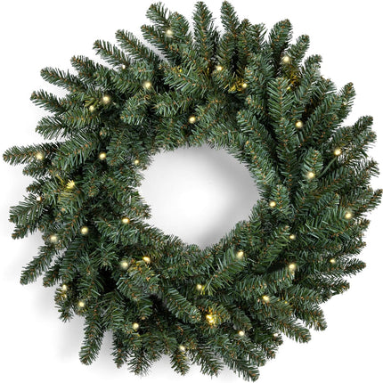 Papyrus 24" Pre-Lit Blue Spruce Artificial Wreath, Warm White Light, Battery Powered, Indoor/Outdoor