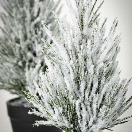 Sullivans Flocked Christmas Pine Tree Set of 2, Christmas Decor, Mini Christmas Trees, Christmas Decorations Indoor Home Decor, Flocked Trees, Artificial Christmas Trees, Tabletop Christmas Decor