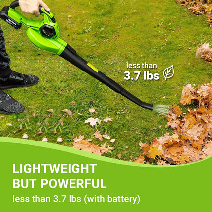 TODOCOPE 20V Cordless Leaf Blower with Battery and Charger, Electric Leaf Blower Vacuum, Battery Leaf Blower Cordless for Lawn, Variable Speed, Lightweight, Quick Charge, Green, (TDC-CB20)